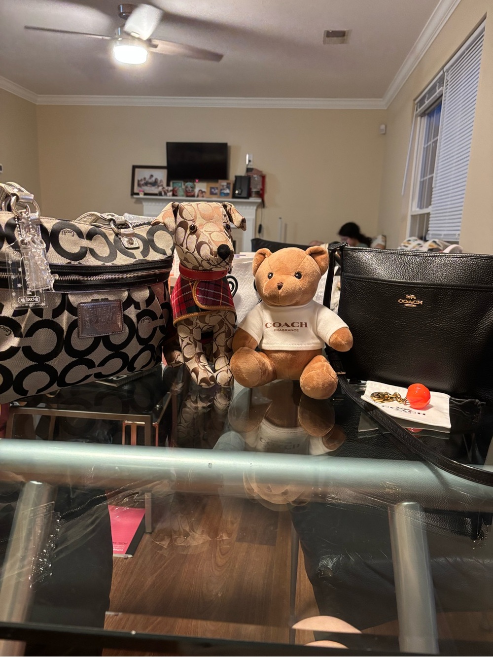 CATCH THE COACH AND SOLEIL EVENT!!! - Picture 16 of 16